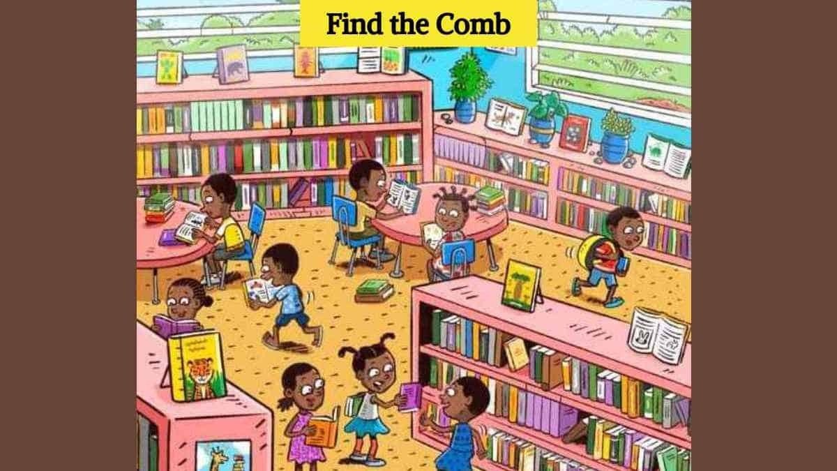 Visual illusion: Can You Find the Comb in the Library in 7 Seconds? 2